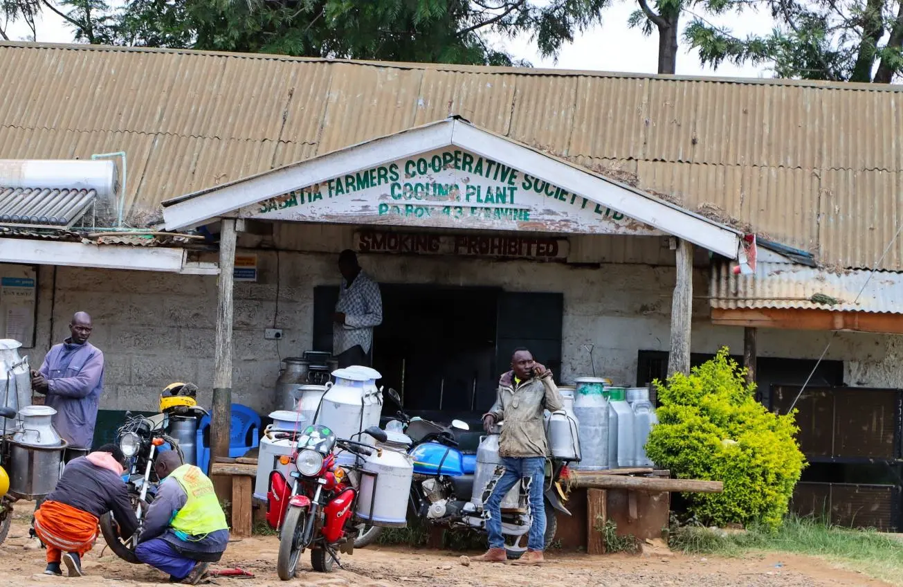 The Rise of Dairy Cooperatives: Empowering Smallholder Farmers in Kenya