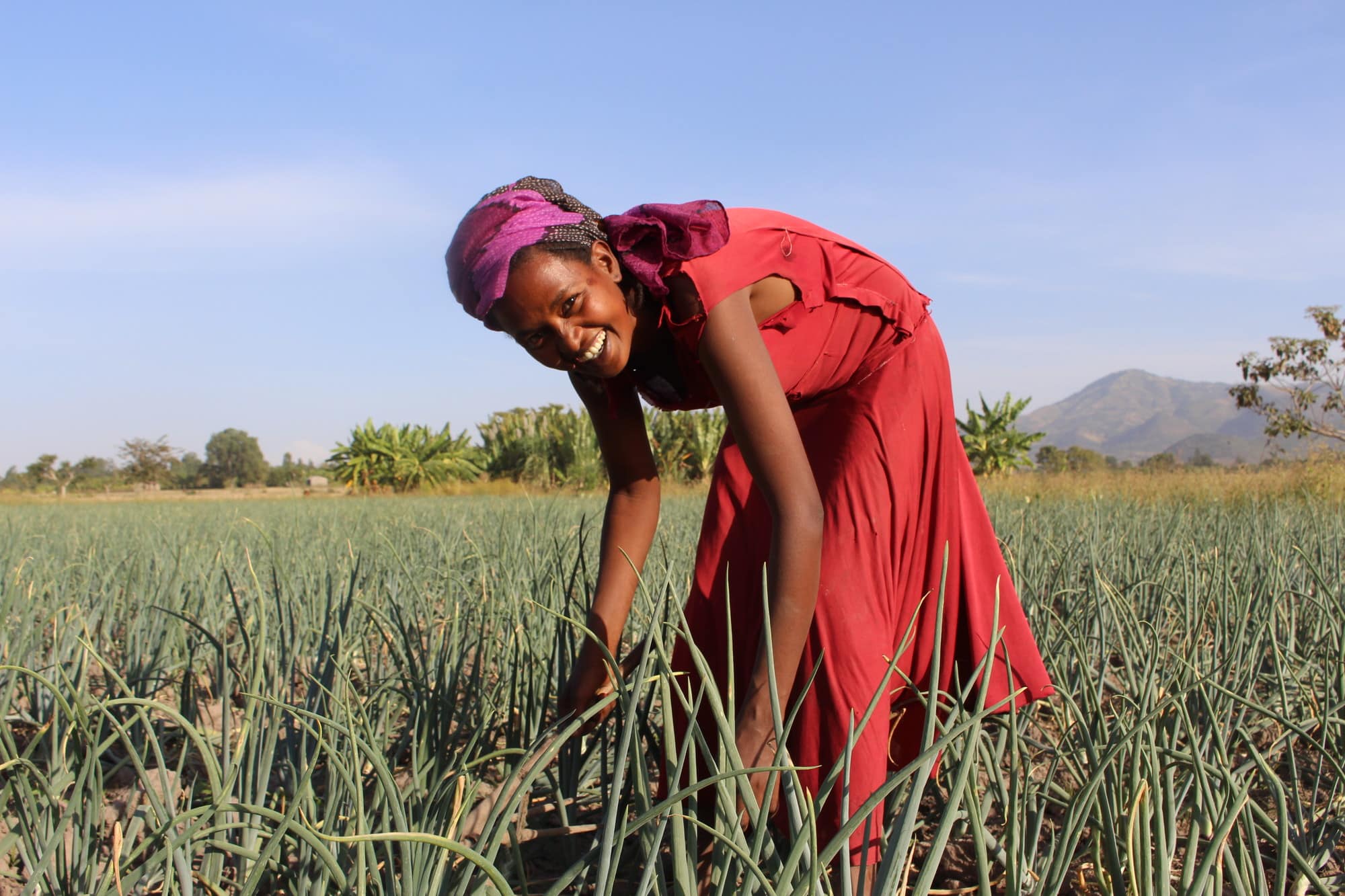 Empowering Women Farmers in Kenya: Unlocking Agricultural Potential