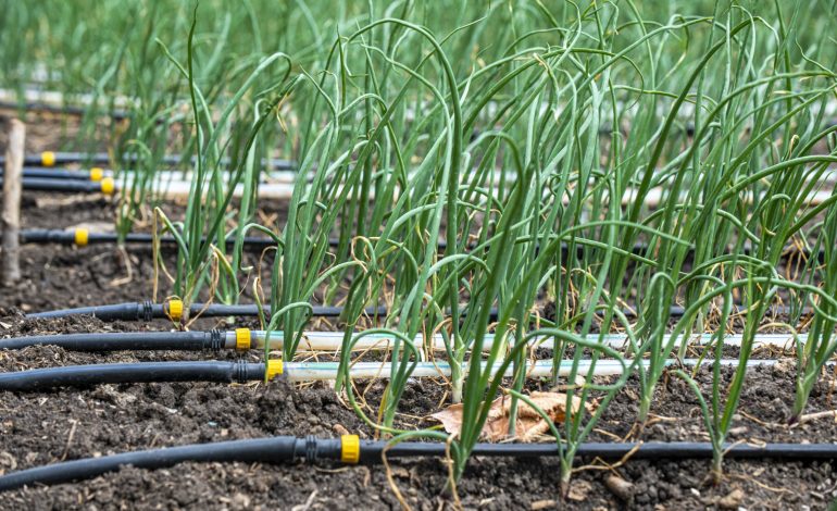 Climate-Resilient Agriculture System